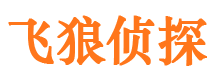 老河口私人侦探